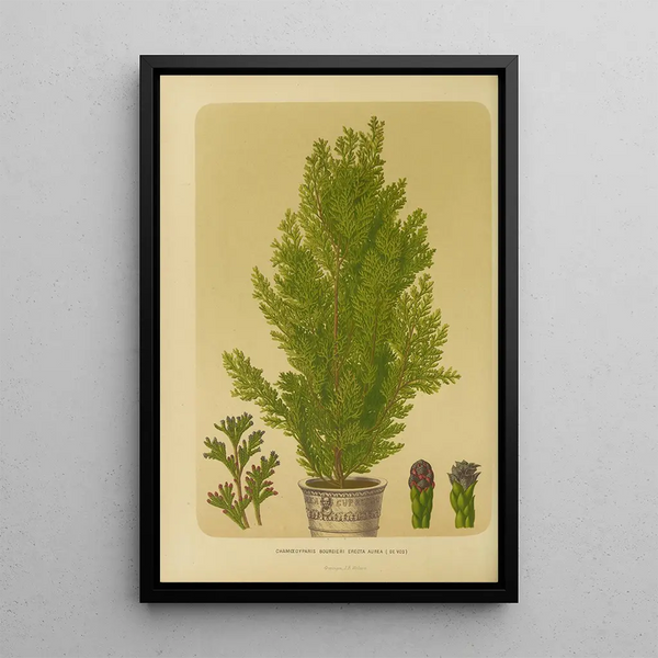 Reproduction of the painting Flore et pomone néerlandaises Pl04 - Abraham Jacobus Wendel