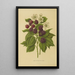 Flore et pomone néerlandaises Pl05 - Abraham Jacobus Wendel — framed artwork on a wall
