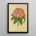 Reproduction of the painting Flore et pomone néerlandaises Pl14 - Abraham Jacobus Wendel