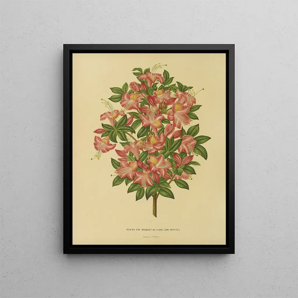 Flore hollandaise et Pomone Pl. 16 - Abraham Jacobus Wendel — framed artwork on a wall