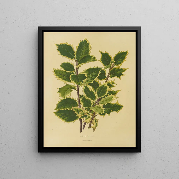Flore hollandaise et Pomone 18 - Abraham Jacobus Wendel — framed artwork on a wall
