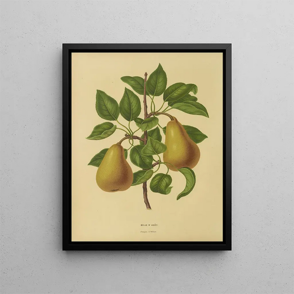 Flore hollandaise et Pomone PL19 - Abraham Jacobus Wendel — framed artwork on a wall