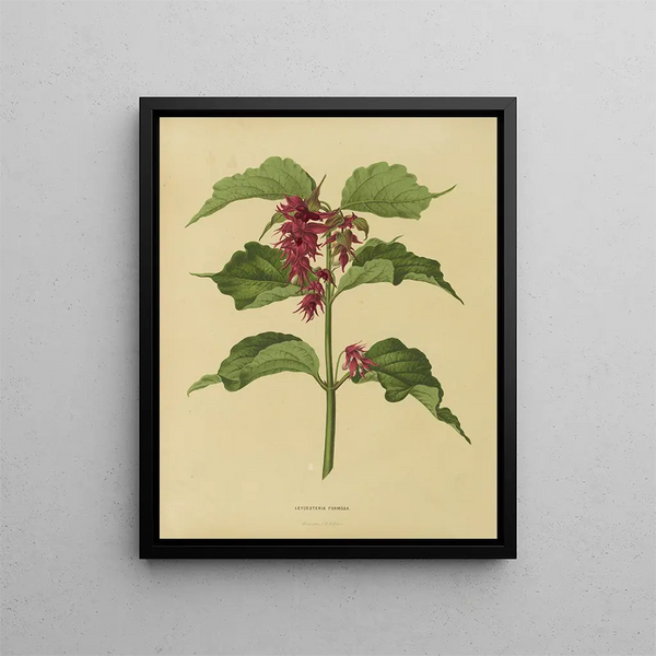 Flore hollandaise et Pomone PL36 - Abraham Jacobus Wendel — framed artwork on a wall