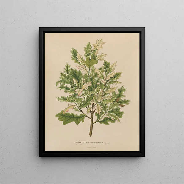 Flore hollandaise et Pomone PL40 - Abraham Jacobus Wendel — framed artwork on a wall