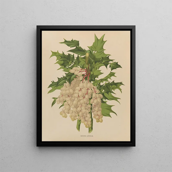 Flore hollandaise et Pomone PL41 - Abraham Jacobus Wendel — framed artwork on a wall