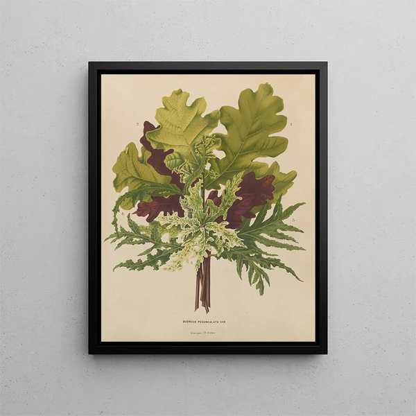 Flore hollandaise et Pomone PL42 - Abraham Jacobus Wendel — framed artwork on a wall