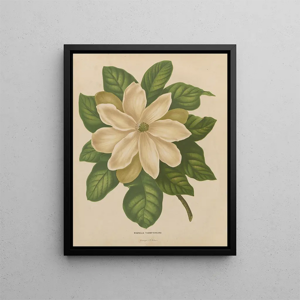Flore hollandaise et Pomone PL43 - Abraham Jacobus Wendel — framed artwork on a wall