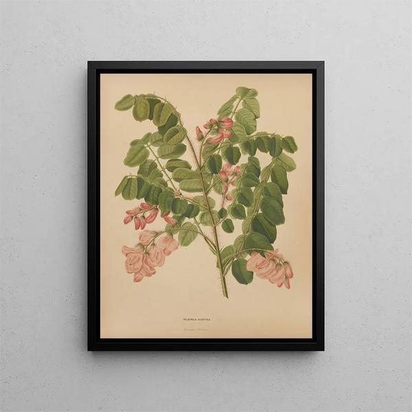 Flore hollandaise et Pomone PL49 - Abraham Jacobus Wendel — framed artwork on a wall