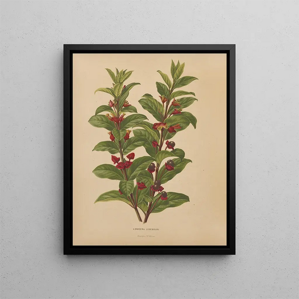 Flore hollandaise et Pomone PL60 - Abraham Jacobus Wendel — framed artwork on a wall