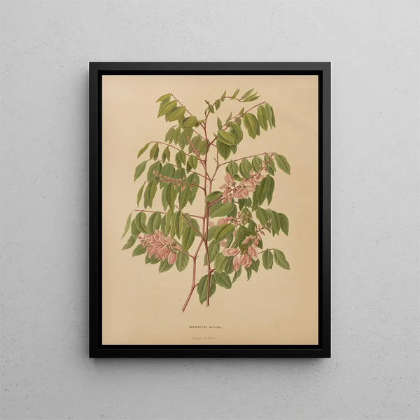 Flore hollandaise et Pomone PL64 - Abraham Jacobus Wendel — framed artwork on a wall