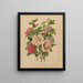 Flore hollandaise et Pomone PL66 - Abraham Jacobus Wendel — framed artwork on a wall
