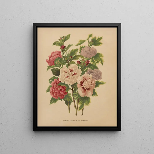Flore hollandaise et Pomone PL66 - Abraham Jacobus Wendel — framed artwork on a wall