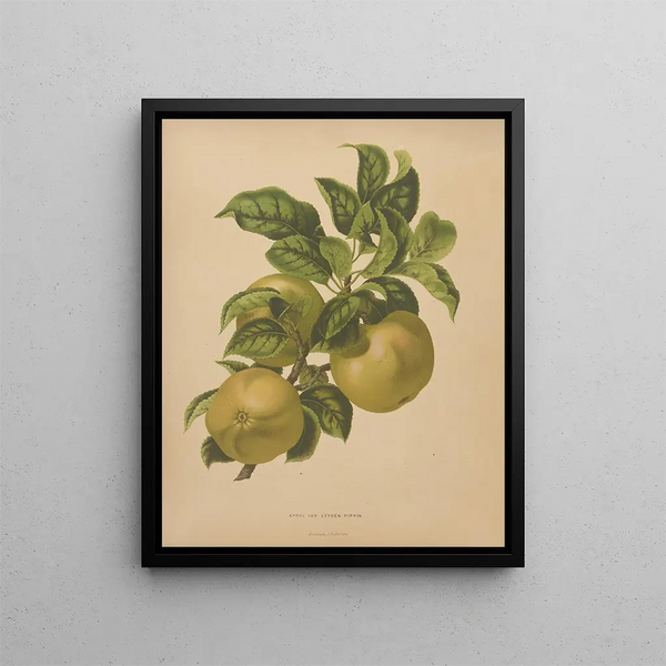 Flore hollandaise et Pomone PL67 - Abraham Jacobus Wendel — framed artwork on a wall