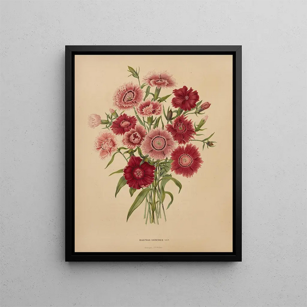 Flore hollandaise et Pomone PL68 - Abraham Jacobus Wendel — framed artwork on a wall