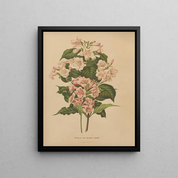 Flore hollandaise et Pomone PL74 - Abraham Jacobus Wendel — framed artwork on a wall