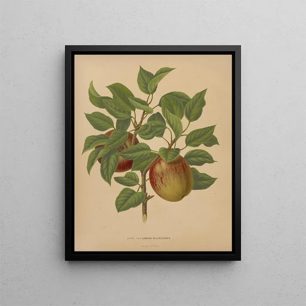 Flore hollandaise et Pomone PL75 - Abraham Jacobus Wendel — framed artwork on a wall