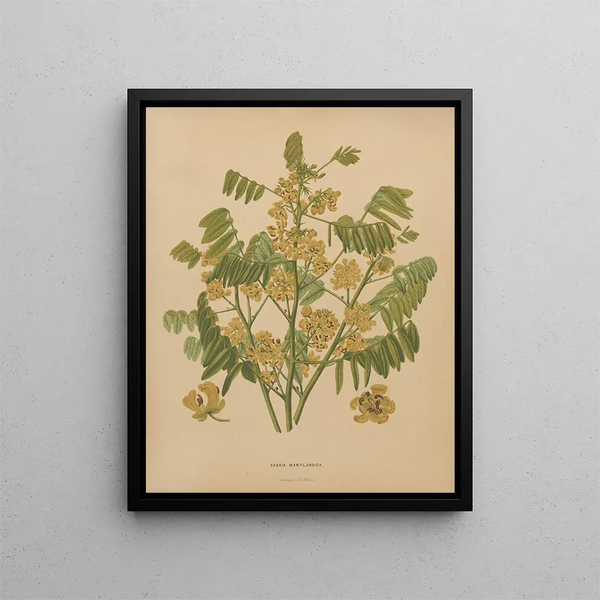 Flore hollandaise et Pomone PL78 - Abraham Jacobus Wendel — framed artwork on a wall