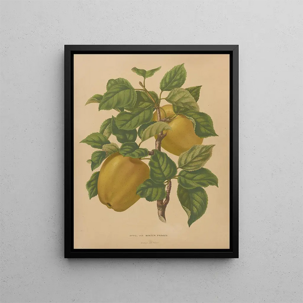 Flore hollandaise et Pomone PL79 - Abraham Jacobus Wendel — framed artwork on a wall