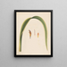 Study of a leaf and a flower - Abraham Jacobus Wendel — framed artwork on a wall