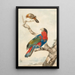 Reproduction of the painting of a parrot and another bird on a branch near a coast - Abraham Meertens