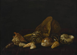 Abraham Van Calraet - Seashells in a purple tapestry.webp