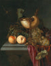 Still life with a Nautilus shell, grapes, and peaches - Abraham de Lust — artwork view