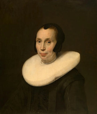 Portrait of a Woman - Abraham de Vries — artwork view