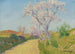 La Route aux amandiers fleuris - Achille Laugé — artwork view