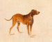 Hunting Dog Painting - Adalbert Stifter — artwork view
