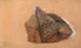 Study of Stone - Adalbert Stifter — artwork view
