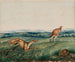 a Dog chasing a kangaroo - Adam Gustavus Ball — artwork view