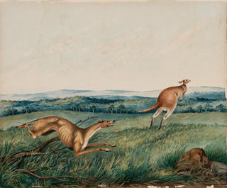 a Dog chasing a kangaroo - Adam Gustavus Ball — artwork view