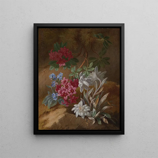Alpine Flowers - Adèle Schuster — framed artwork on a wall