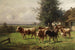 Herd of cows near Dachau - Adolf Chelius — artwork view