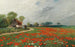 a poppy field with daisies - Adolf Kaufmann — artwork view