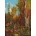 Prince Schwarzenberg's Forests - Adolf Obermüllner — artwork view