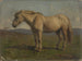 A gray horse - Adolph Tidemand — artwork view