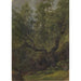 Reproduction of the painting Study of the Numedal Forest - Adolph Tidemand