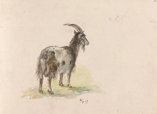 Goat - Adolph Tidemand — artwork view
