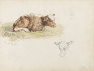 Kalv - Adolph Tidemand — artwork view