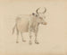 Cow with horns - Adolph Tidemand — artwork view