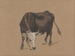 The cattle of the fattening - Adolph Tidemand — artwork view