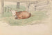Veau Couché - Adolph Tidemand — artwork view