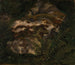 Study of a moss-covered stone and ferns - Adolph Tidemand — artwork view