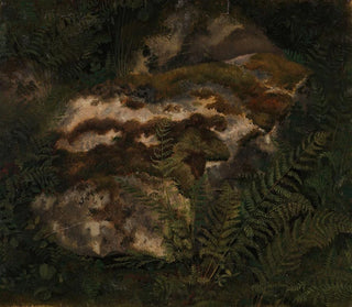 Study of a moss-covered stone and ferns - Adolph Tidemand — artwork view