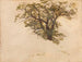 Study of an Oak Tree - Adolph Tidemand — artwork view