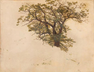 Study of an Oak Tree - Adolph Tidemand — artwork view