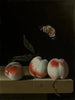 Three peaches on a stone ledge with a butterfly lady painted - Adriaen Coorte — artwork view