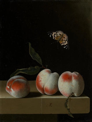 Three peaches on a stone ledge with a butterfly lady painted - Adriaen Coorte — artwork view