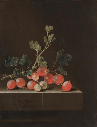 Gooseberries on a table - Adriaen Coorte — artwork view